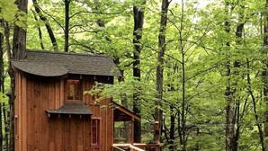 A wooden treehouse with a deck and outdoor seating area, surrounded by a forest.