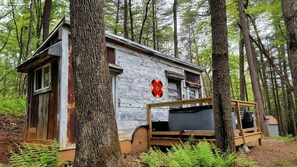 Exterior - Pet-Friendly Tiny Home Rental in the Chattahoochee National Forest, for Glamping in Georgia (Suches)