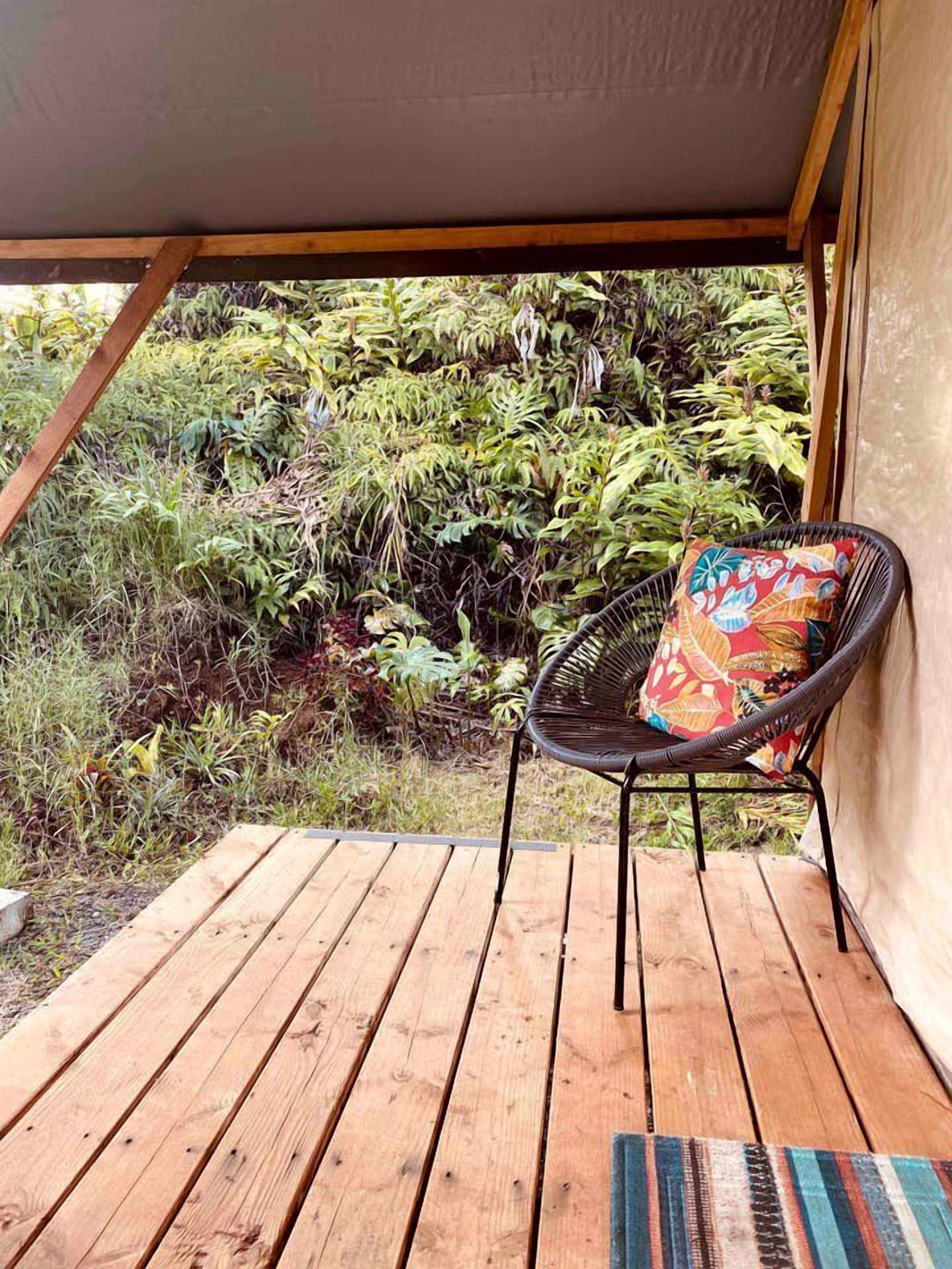 テラス / パティオ