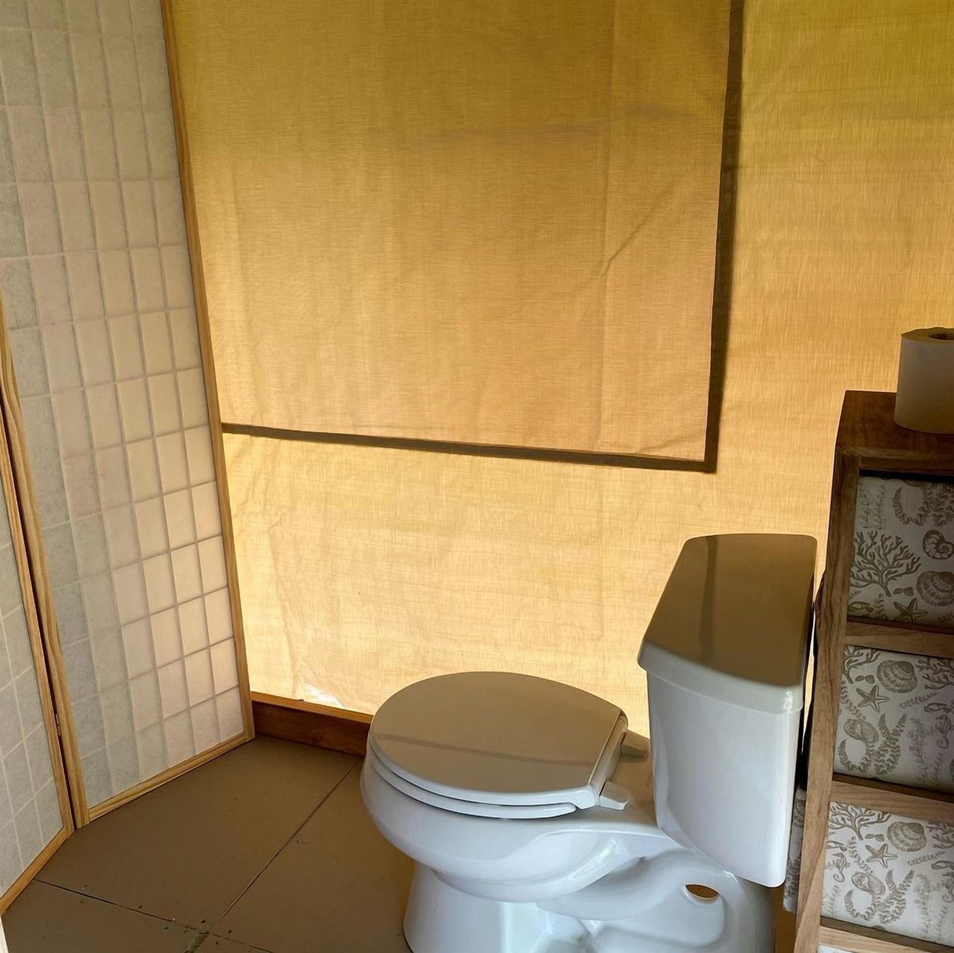 Hair dryer, towels, toilet paper