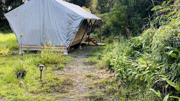 Una tenda installata in un ambiente naturale, con un sentiero che vi conduce.