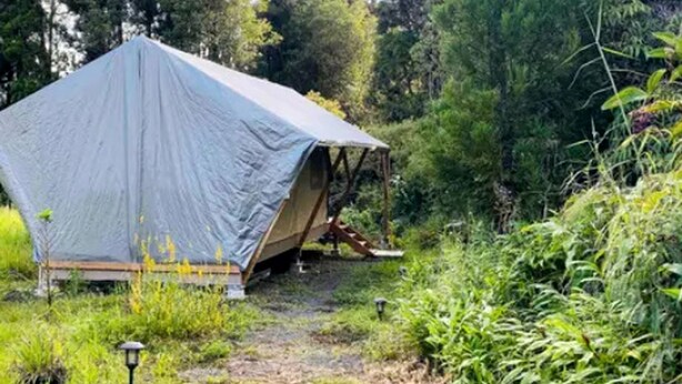 Exterior - Luxurious Tent for a Romantic Getaway in Mountain View Village, Hawaii (Volcano)