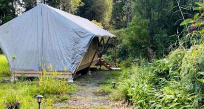 Luxurious Tent for a Romantic Getaway in Mountain View Village, Hawaii
