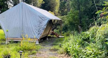 Luxurious Tent for a Romantic Getaway in Mountain View Village, Hawaii