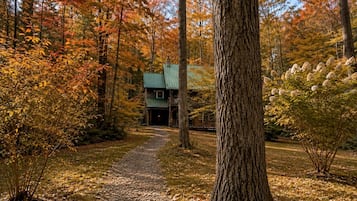 A forested area with a building that has a green roof and a visible garage entrance.