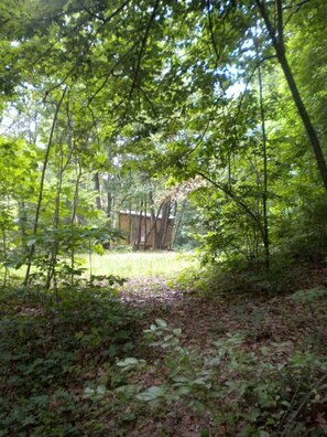 Property grounds - Amazing Tiny House Rental for Unique Romantic Getaways in Tennessee (Grandview)