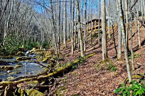 المنطقة المحيطة بالمنشأة