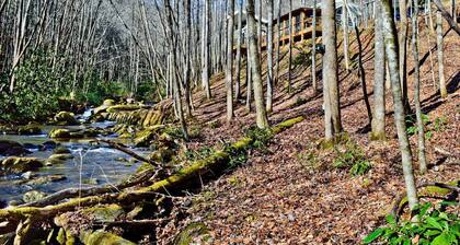 Remote Tree-House Style Cabin in Nantahala National Forest