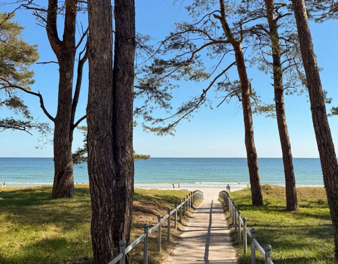 Ein Weg, der zu einem Strand mit hohen Bäumen und freiem Blick aufs Meer führt.