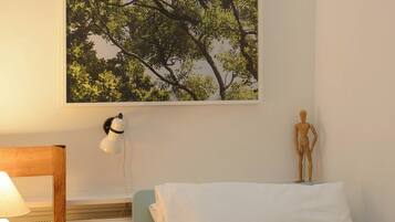 Iron/ironing board, free WiFi