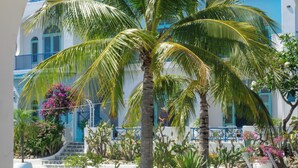 Une cour intérieure avec un palmier, une piscine et un bâtiment aux accents bleus.