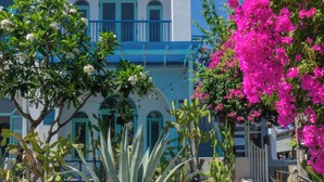 Un bâtiment blanc agrémenté de touches de bleu, avec un escalier en colimaçon entouré de cactus et de bougainvilliers.