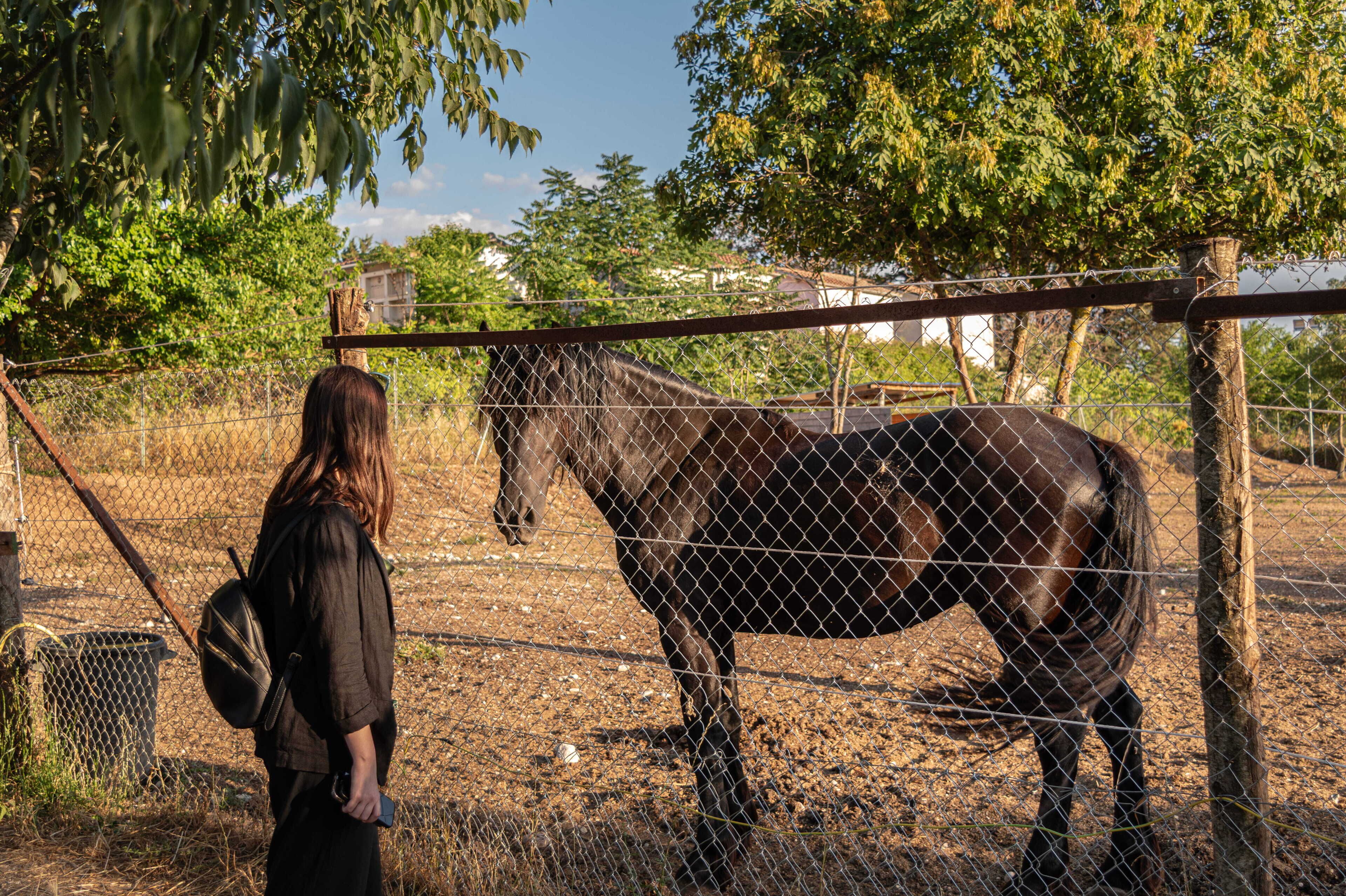 A person standing next to a horse in a fenced area with trees and a building in the background.