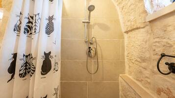 Shower, free toiletries, hair dryer, bidet