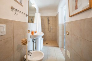 Shower, free toiletries, hair dryer, bidet