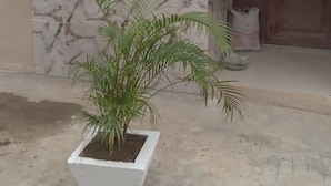 外觀