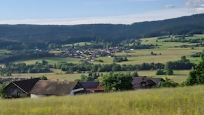 Un paysage rural avec un petit village, des champs verdoyants et quelques bâtiments aux toits rouges.