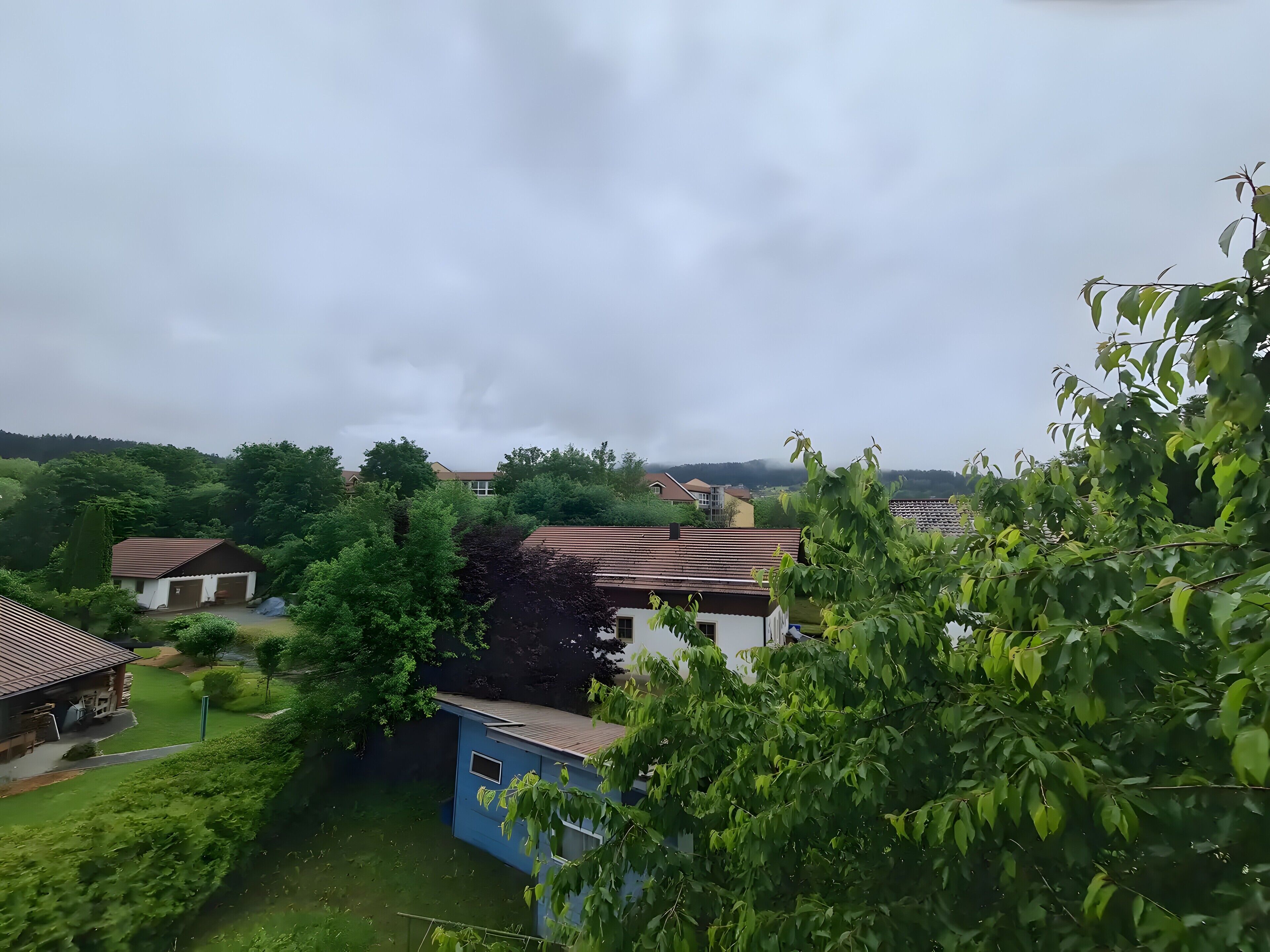 Eine Wohngegend mit Häusern, einem blauen Gebäude und umliegender Bepflanzung.