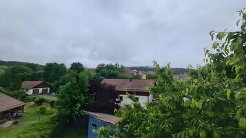 Eine Wohngegend mit Häusern, einem blauen Gebäude und umliegender Bepflanzung.
