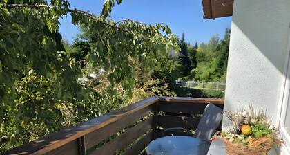 Apartment 'Waldbach' in Haus Regenhäusl with Mountain View, Shared Terrace and Wi-Fi
