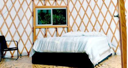 Roan Mountain Glamping Yurt, Ideal to Hike the Appalachian Trail