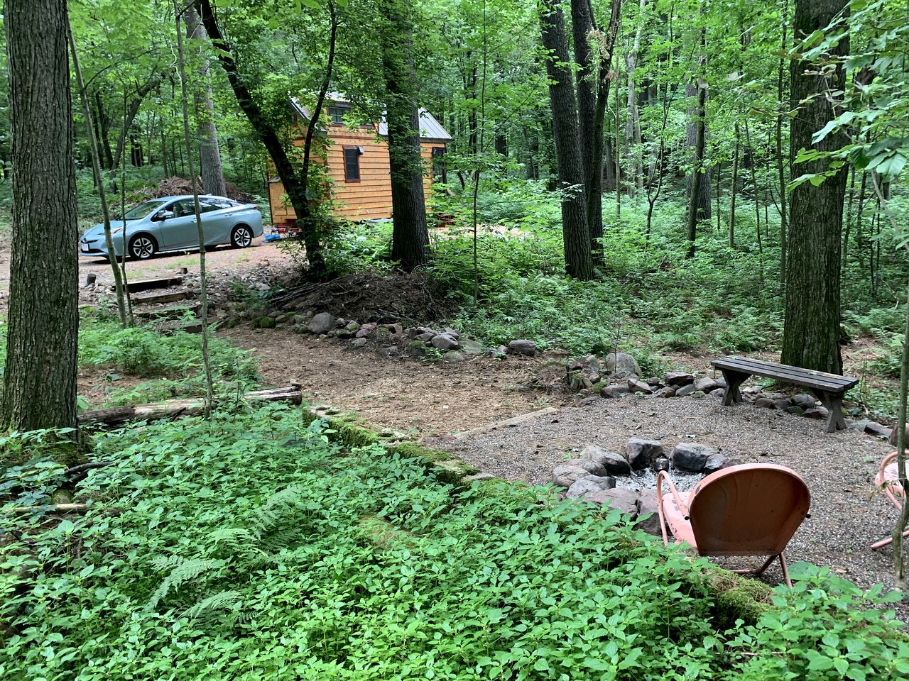 Une zone boisée avec un chalet, une voiture et un banc.