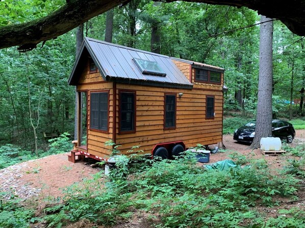 A small wooden cabin with a metal roof, surrounded by dense forest.