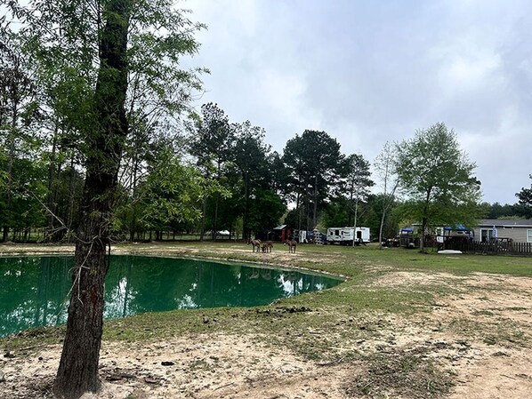 Property grounds - Glamping on the Farm (Cleveland)