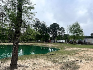 A fenced outdoor area with a pond, trees, and a trailer.