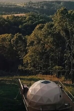 A dome-shaped building with a metal railing, surrounded by dense forest.