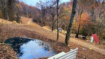 A park with a wooden bench, a small pond, and trees with autumn leaves.