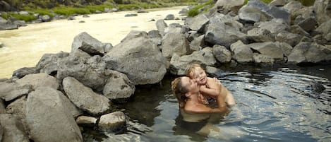 Wellness