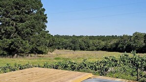 Outdoor spa tub - Incredible Luxurious Dome for a Relaxing Getaway in Smithville, Texas (Smithville)
