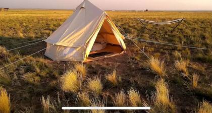 Remote Bell Tent with Spectacular Landscapes in Arizona
