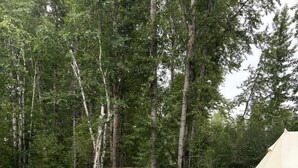Uklassifisert bilde, 2 av 23, knapp