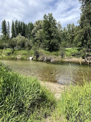 Un río de aguas cristalinas, rodeado de abundante vegetación y árboles.