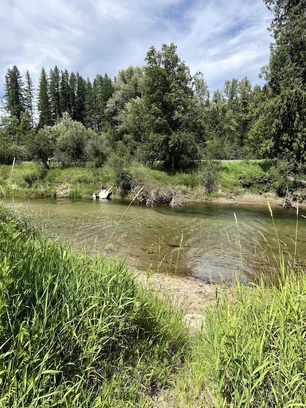 Un río de aguas cristalinas, rodeado de abundante vegetación y árboles.