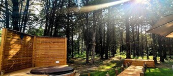 Gorgeous Beehive Tiny House Surrounded by Trees for a Unique Romantic Getaway near Wills Point, Texas