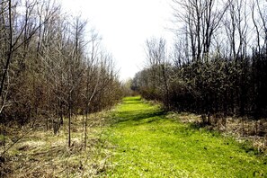 Miscellaneous - Fabulous Michigan Glamping Getaway near South Haven (South Haven)