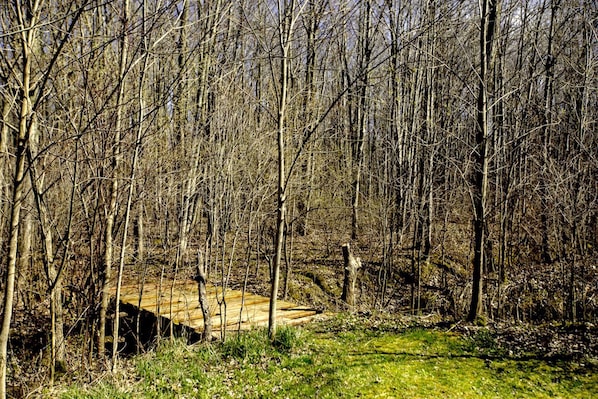 Metsäinen alue, jossa on puinen silta.