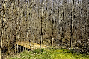 Ein bewaldetes Gebiet mit einer Holzbrücke.