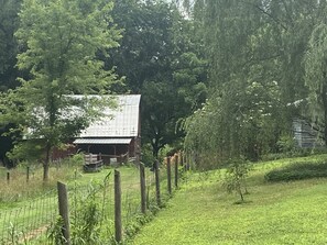 Overnattingsstedets uteområder