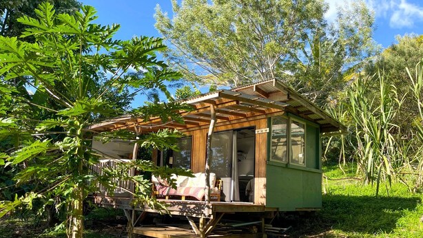 Exterior - Cute Cabin for Two Surrounded by Nature for a Peaceful Getaway in Kealakekua, Hawaii (Kealakekua)