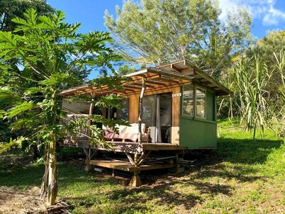 Cute Cabin for Two Surrounded by Nature for a Peaceful Getaway in Kealakekua, Hawaii