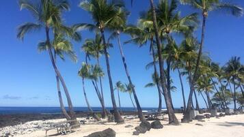 Surfing, sailing, kayaking, fishing