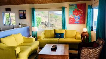 TV, DVD player, video library, stereo