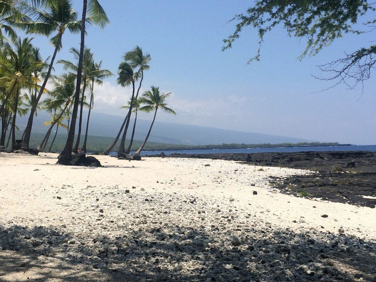 Surfing, sailing, kayaking, fishing