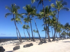Surf, voile, kayak, pêche sur place