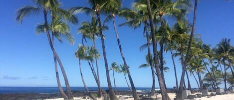 Surfing, sailing, kayaking, fishing