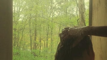 Näkymä majoituspaikasta